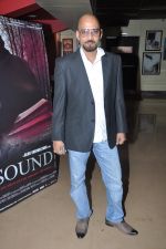  Alok Shrivastava at The Unsound film screening in PVR, Mumbai on 6th Feb 2013 (25).JPG